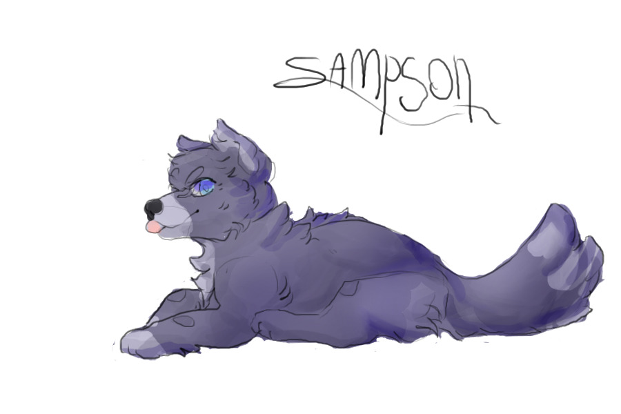 sampson!