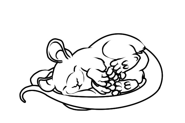 WIP - BABY POUCHED RAT