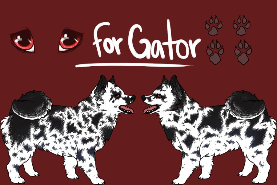 For Gator
