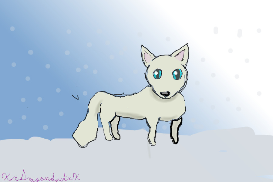 An Arctic Fox