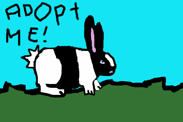 Bunny Adoption #3 (OPEN)