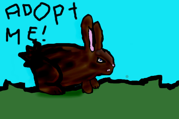 Bunny Adoption #5 (OPEN)