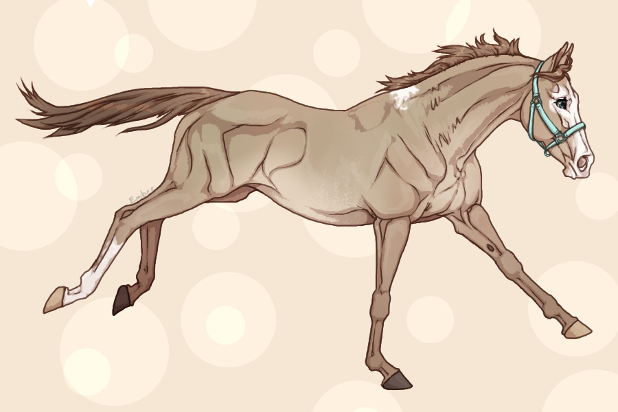 Champagne horse