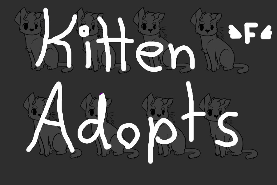 Free Kitten Adopts
