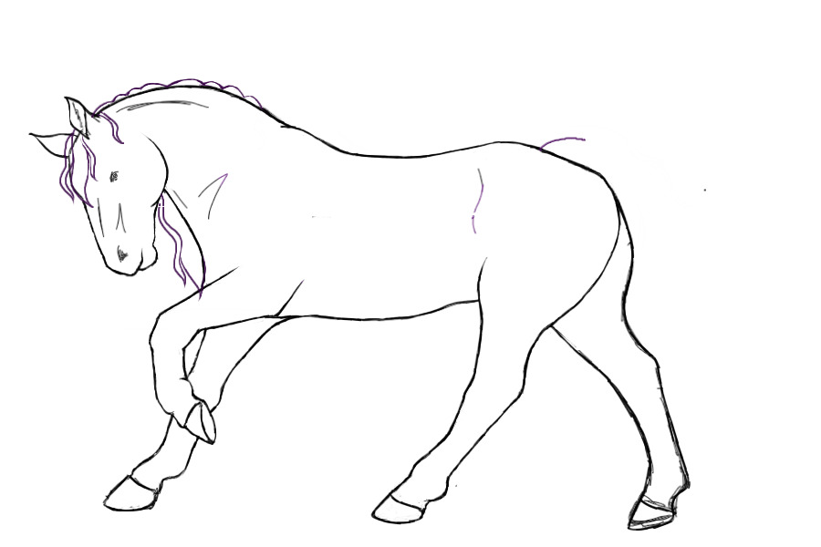 Horse entry- sketch