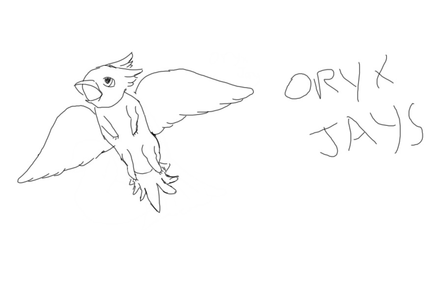 ORYX JAYS - This is a horrible drawing, better ones soon