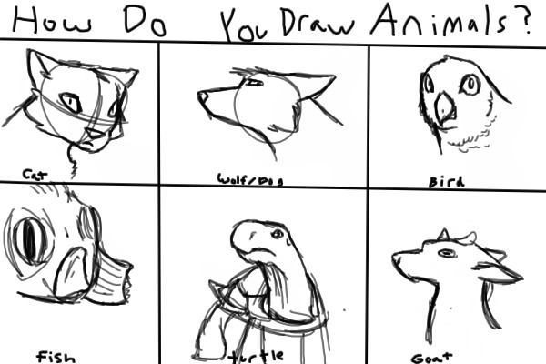 how i draw