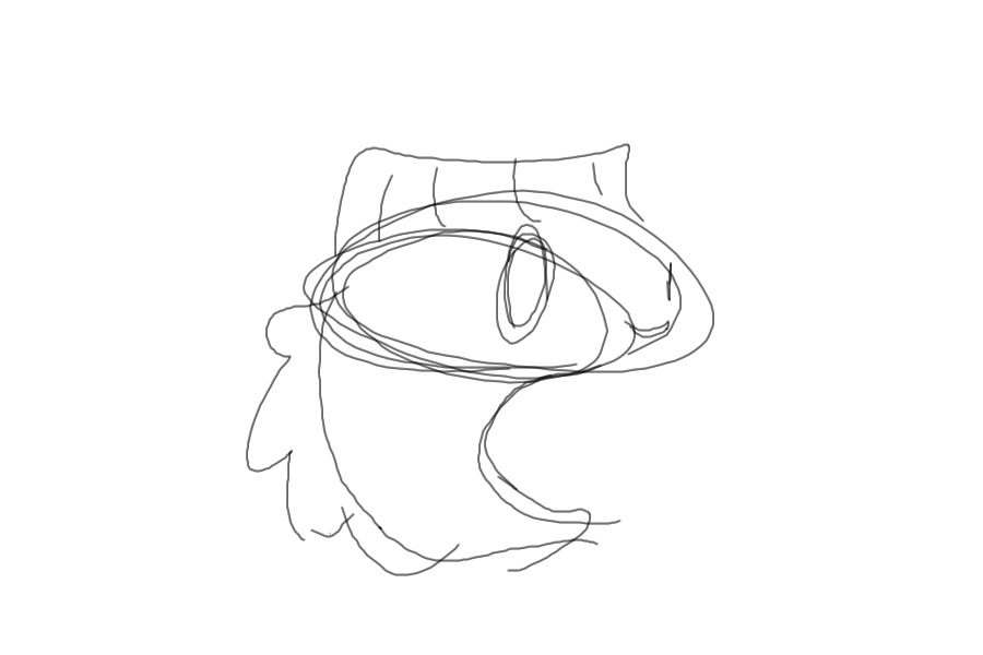 Pondhopper Headshot Sketch