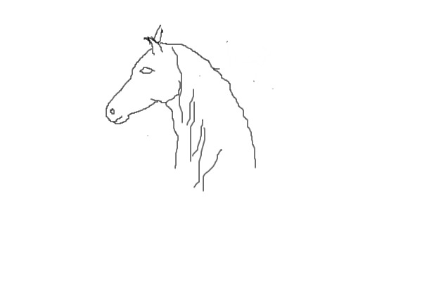 Horse scetch- study