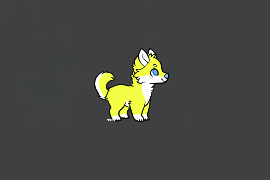 yellow husky <3