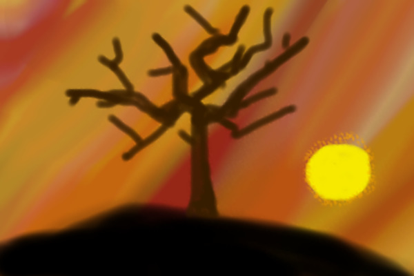 Tree at Sundown