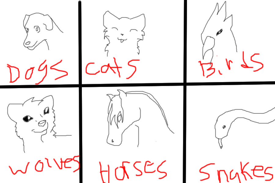 6 Animals drawn