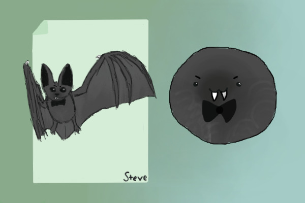 dark bat