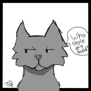 "who stole my food?" cat avatar.
