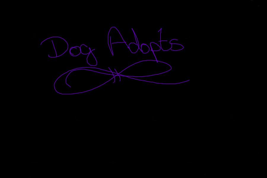 Dog Adopts~