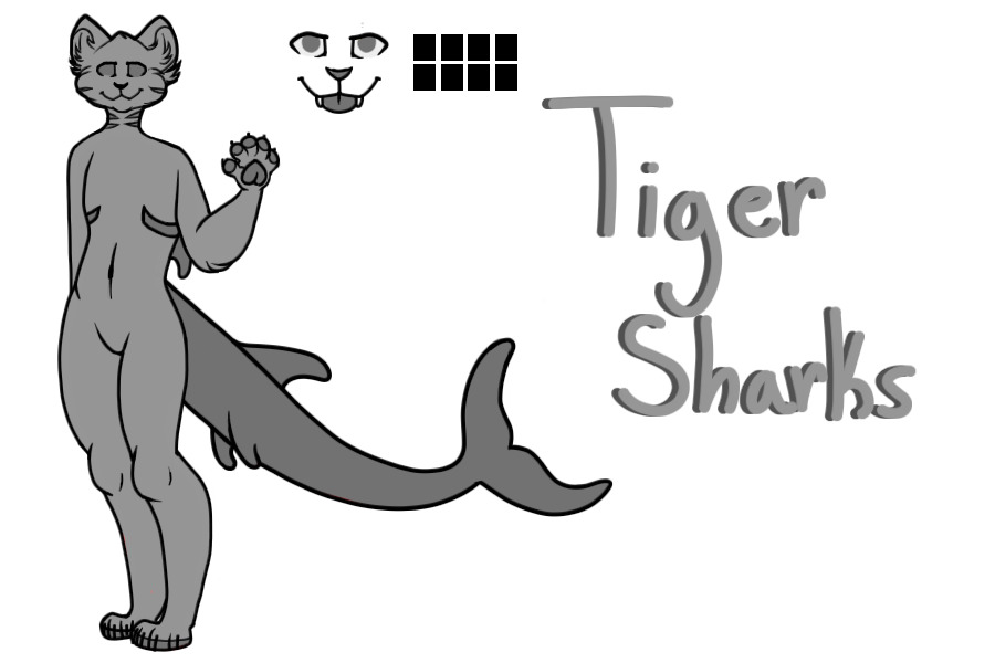 Tiger shark adopts