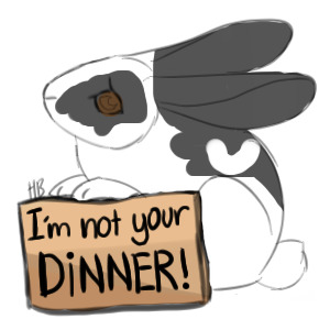 Bun-Bun is NOT your dinner