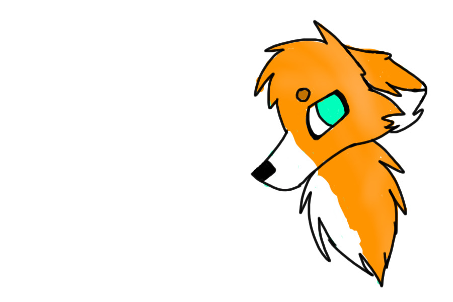 A colored fox