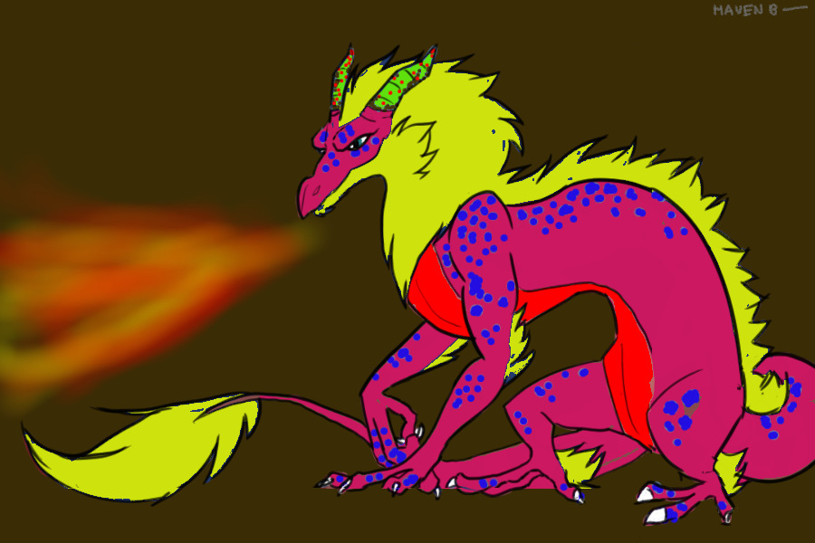Coloured Dragon