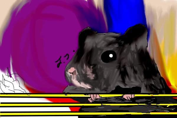 My hamster! NAMED MAVIS