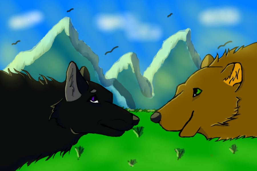 The Wolf & Bear