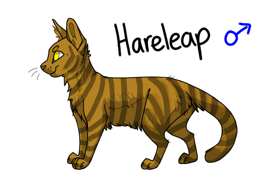 Hareleap