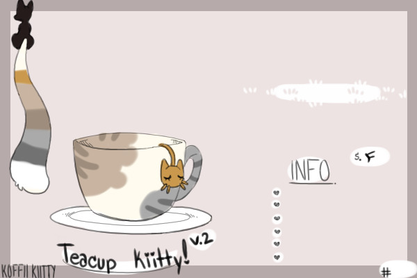 Teacup kitty