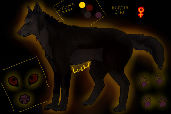 Acacia wolf ref- realistic version