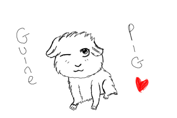 i randomly drew a guinea pig