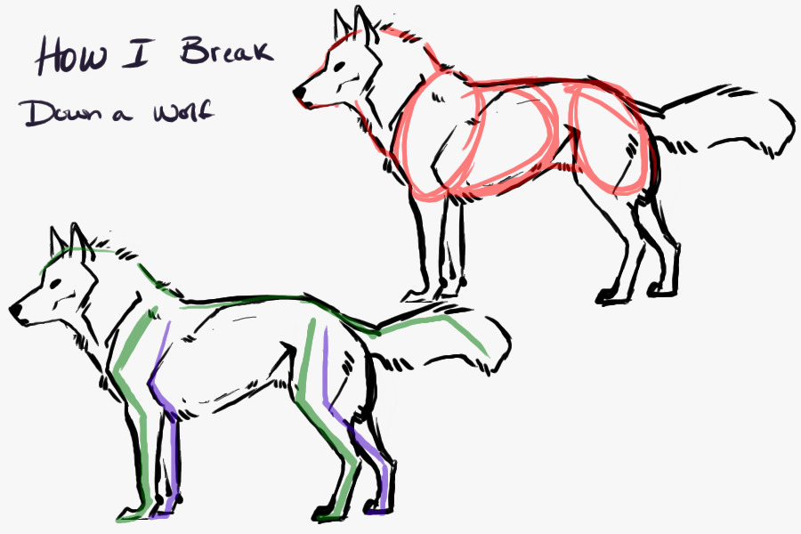 how i break down a wolf