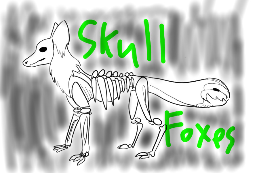 Skull Foxes (New species!)