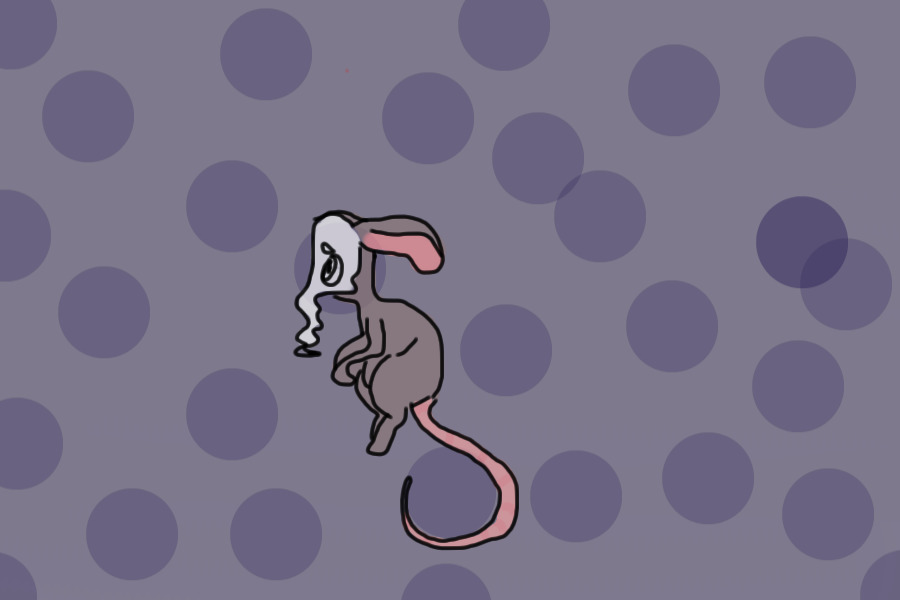 mouse boi