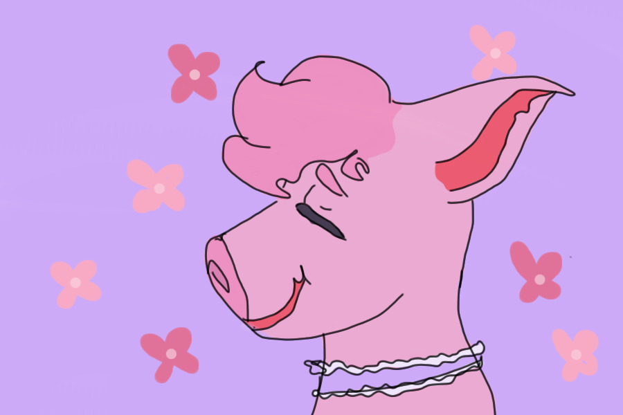 Pretty Pink Piggy