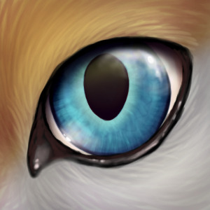 fox eye