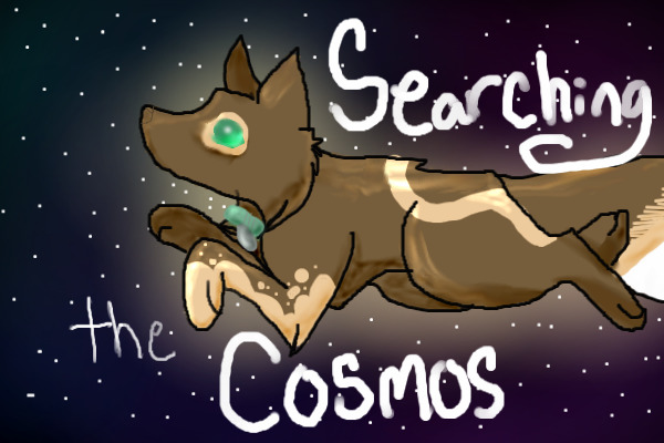 Searching the Cosmos