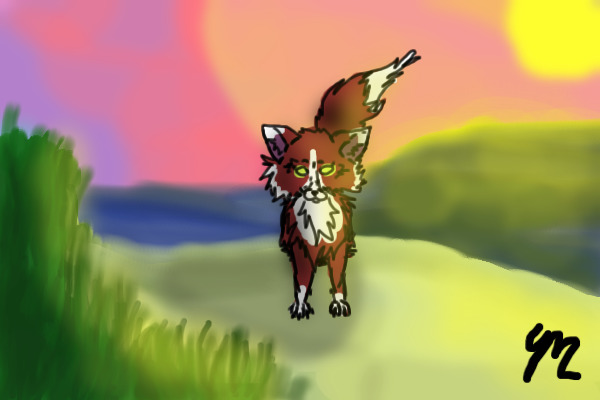 Fox and the setting sun
