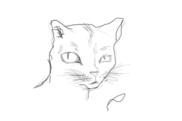 Cat drawing {fail}