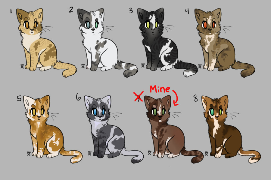 Bunch of Kitties Available - Winners Announced!