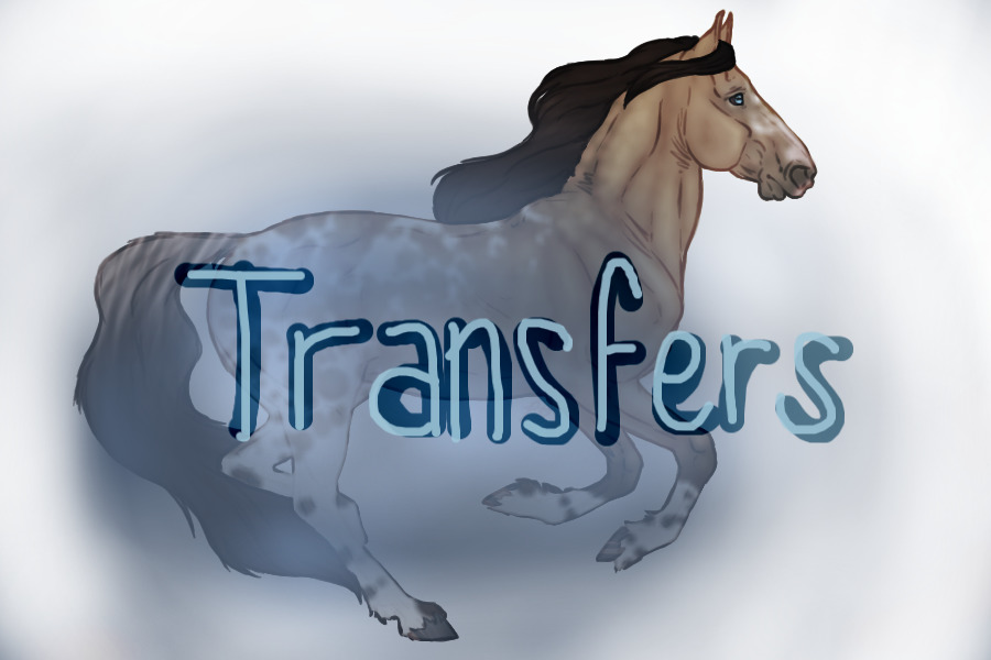 Seraeyn Mustangs | Transfers | Open