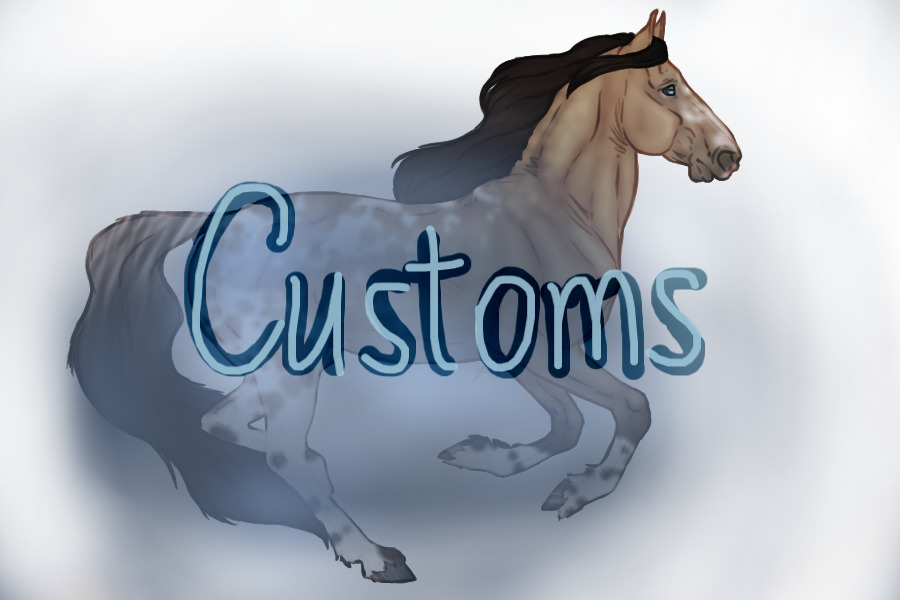 Seraeyn Mustangs | Customs