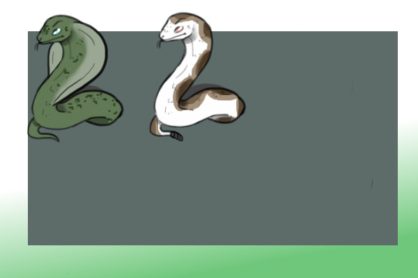 Two snakes I made myself