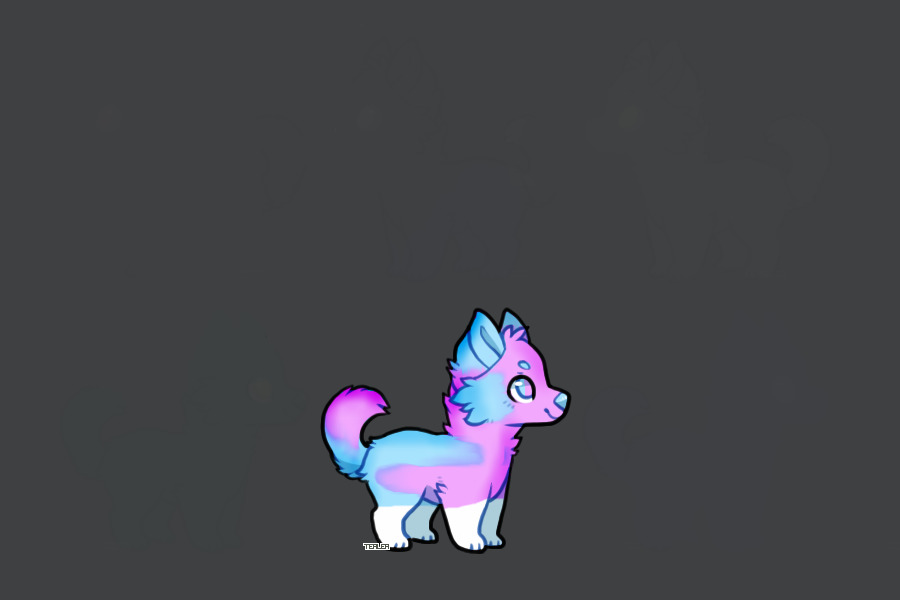 Cotton Candy Pup