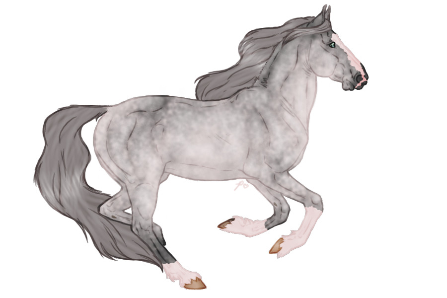 Seraeyn Mustang #015 | Dappled Gray | CLOSED