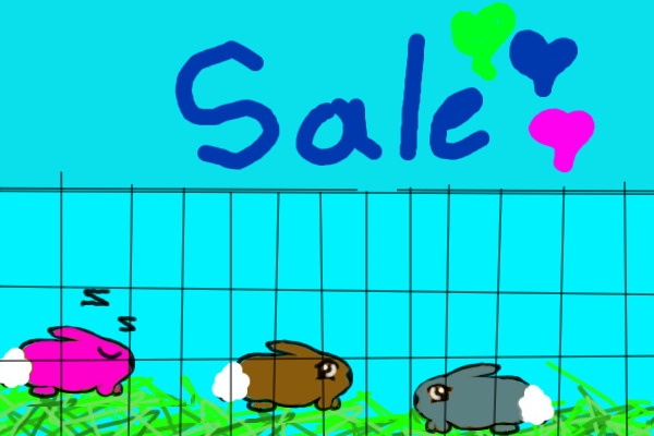 Bunny sale!