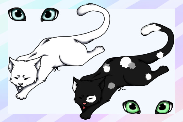 Haku (Black spotted cat)