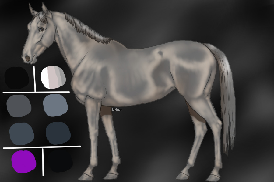 custom horse