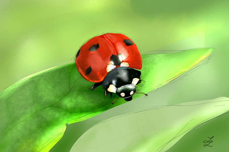 Hyper realistic ladybug