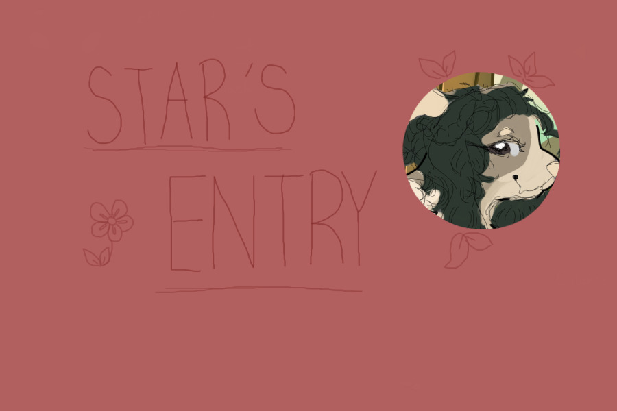 stars entries