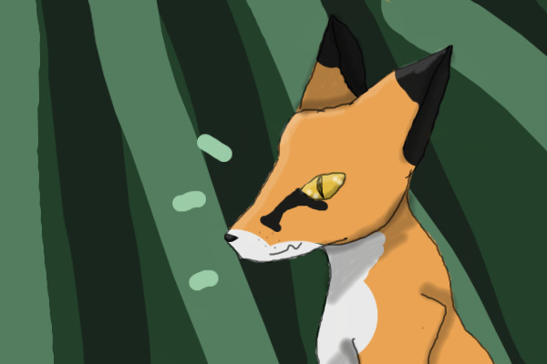 Nameless fox