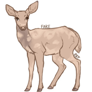 Teak Deer - Entry 1